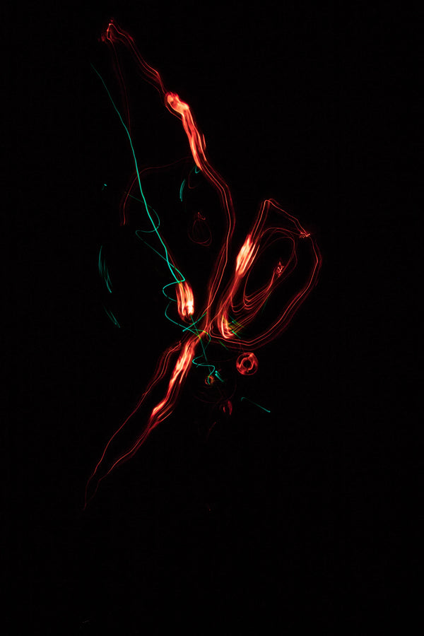 Fly — CLACHECO light painting