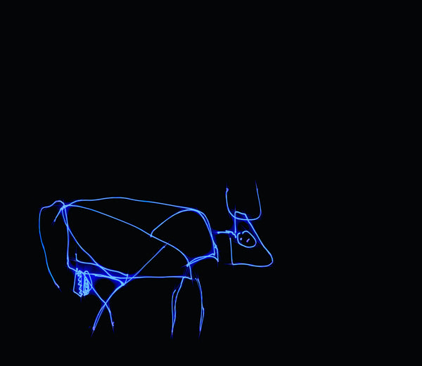 Lightasoo — CLACHECO light painting