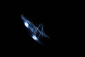 Ant — CLACHECO light painting