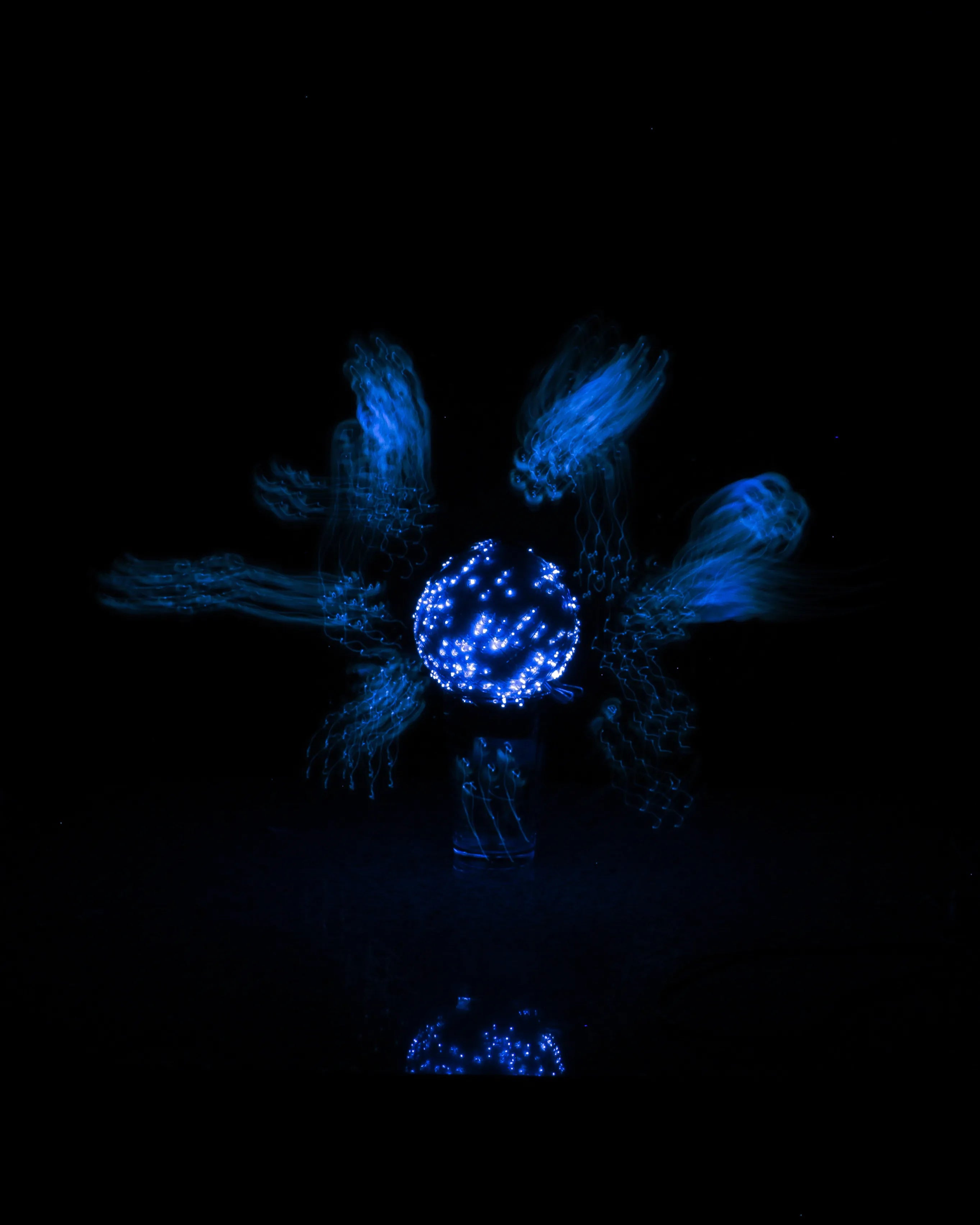 Bool — CLACHECO light painting