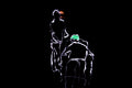 Brain Damage — CLACHECO light painting