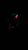 Duck — CLACHECO light painting