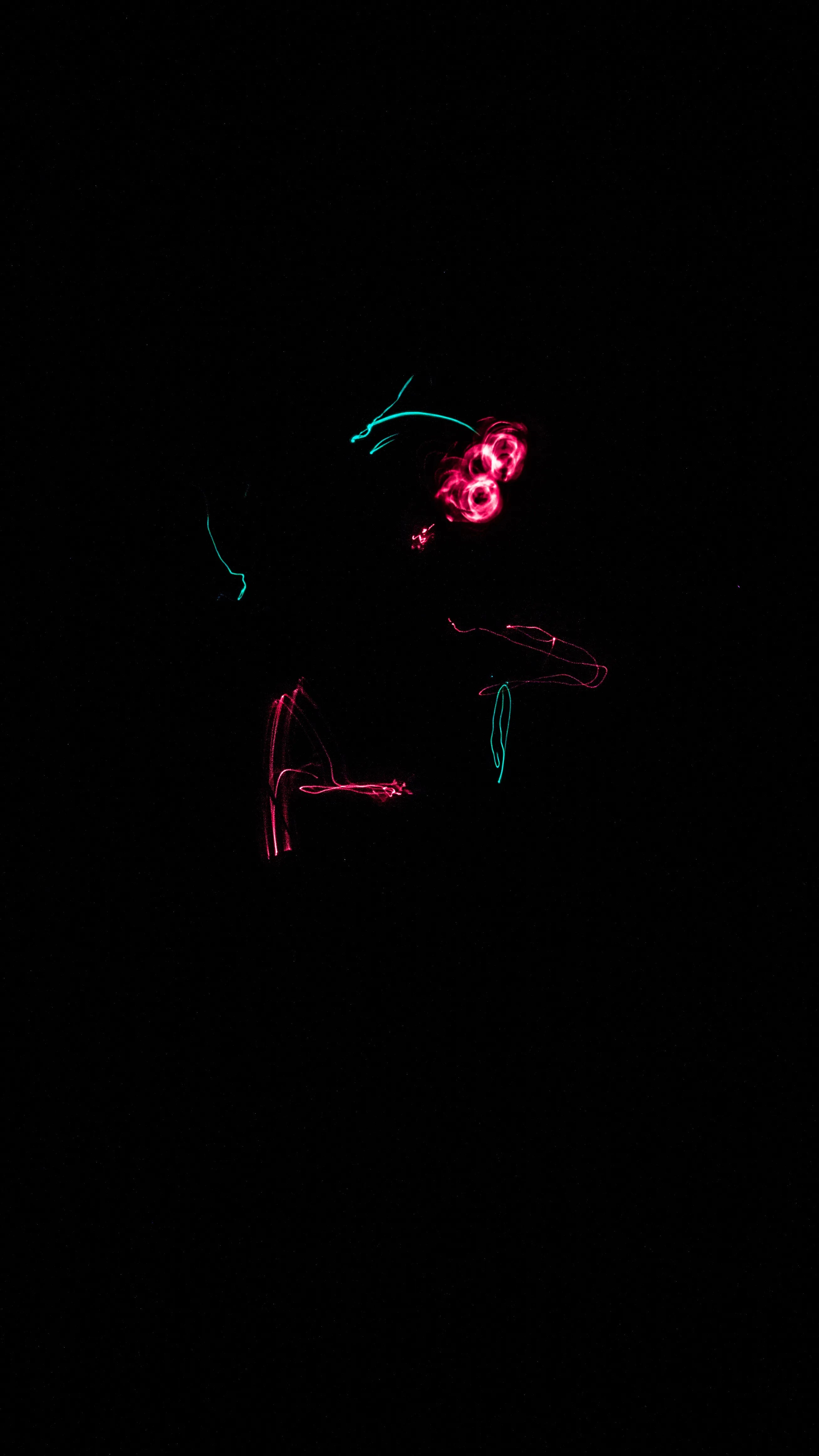 Duck — CLACHECO light painting