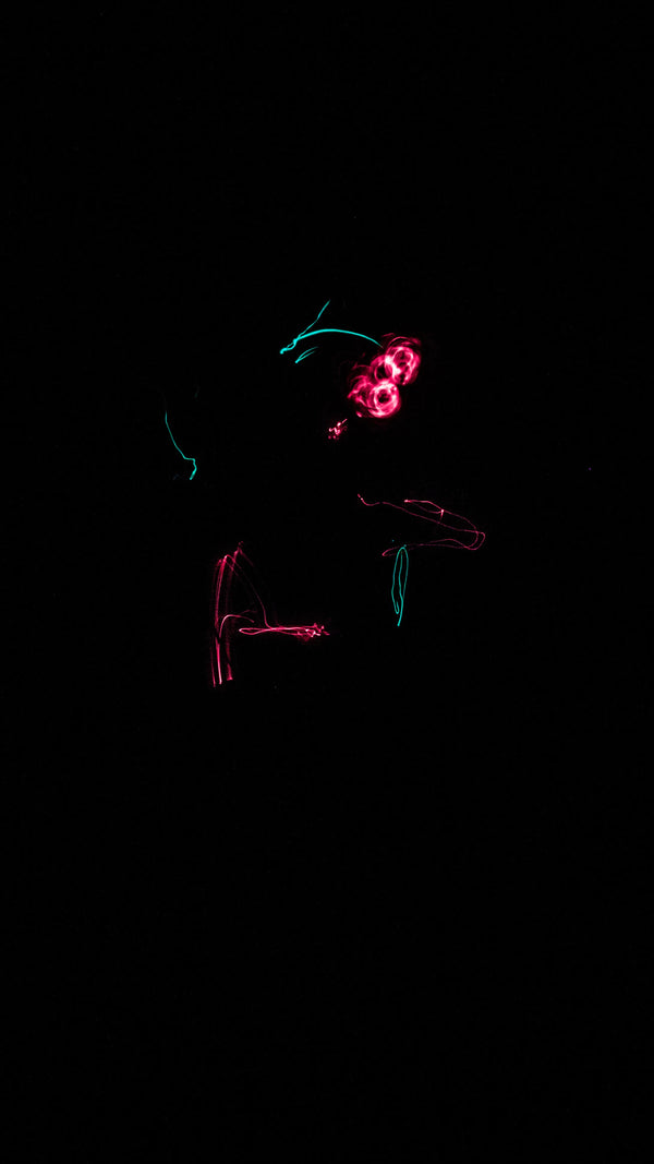 Duck — CLACHECO light painting