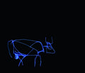 Lightasoo — CLACHECO light painting