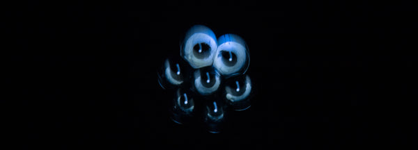 Lighttzz — CLACHECO light painting