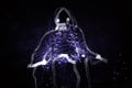 Luke — CLACHECO light painting