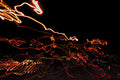 Skate — CLACHECO light painting